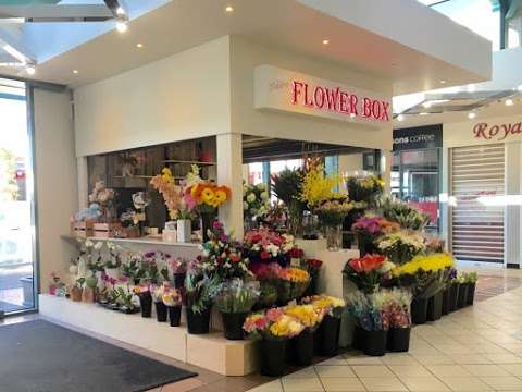 Photo: Aloha Flowers - Niddrie Flower Box